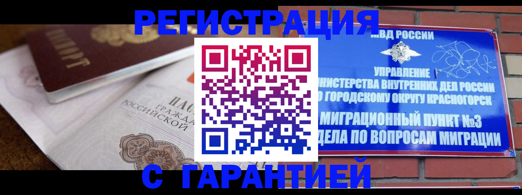 прописка 2025 в Почепе